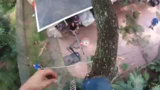 Tree trimmer's birds-eye view