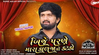 બીજે પરણે મારા કાળજાનો કટકો | Vishal Hapor New Song 2024 | Dj Remix | Bije Parne Mara Kalja No Katko