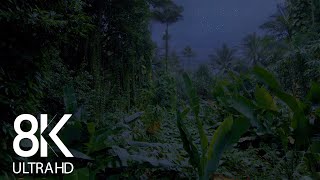 Jungle Nightlife Sounds 8K - 10HRS of Cicadas Singing & other Sounds of Night Creatures - Part #1