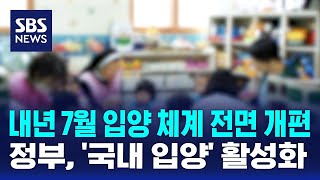 내년 7월 입양 체계 전면 개편…정부, '국내 입양' 활성화 / SBS