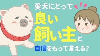 可愛がるだけじゃダメ！愛犬にとって本当に良い飼い主とは？