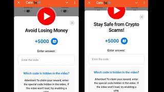 Avoid Losing Money Cats | Stay Safe from Crypto Scams! Cats | 6-7 January Cats All Video Codes Today