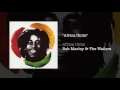 Africa Unite (Will.I.Am Remix) (Africa Unite, 2005) - Bob Marley & The Wailers
