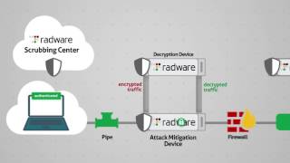 Radware SSL-TLS Mitigation Solution (Russian)