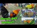 bocaue pet market christmas update presyohan part 2....