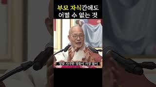 부모 자식간에도 어쩔 수 없는 것은 바로 무엇? #진우스님 #업보 #부모자식