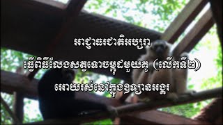 ពិធីលែងសត្វទោចម្កុដ