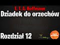 dziadek do orzechów rozdział 12 e. t. a. hoffmann audiobook za darmo @pawcioaudiobooki