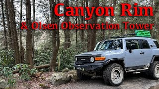 Canyon Rim and the Olsen Observation Tower