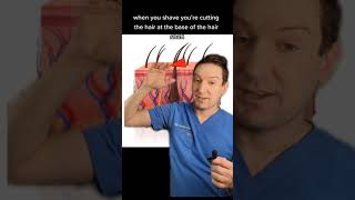 Does SHAVING make your HAIR grow back THICKER?? A dermatologist puts this MYTH to rest.
