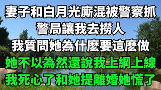 妻子和白月光廝混被警察抓，警局讓我去撈人，我質問她為什麽要這麽做，她不以為然還說我上綱上線，我死心了和她提離婚她慌了【淺談夕陽下】#圍爐夜話#花開富貴#爽文#落日溫情#閱讀茶坊#情滿夕陽#深夜淺讀