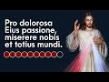 divine mercy chaplet in latin