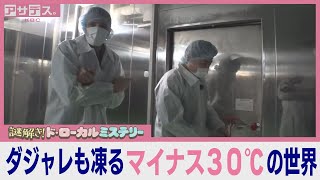 【田川市】一体ここは何の施設？【ド・ローカルミステリー】【アサデス。】（２０２４年１１月２６日）