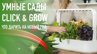 Умные сады на гидропонике – Click and Grow. Хит продаж 2013-2023