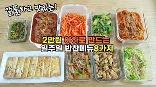 2만원 이하로 만드는 일주일 반찬 8가지 | 식비절약 브이로그 | 도시락반찬