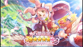 ミミ★6開花クエストPL130【プリコネR】