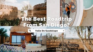 Valle De Guadalupe: San Diego's best road trip (plus driving tips!)