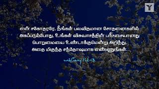 தினசரி மனப்பாட வசனம் | யாக்கோபு 1:2-3 / James 1:2-4