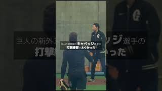 【巨人】新外国人キャベッジ選手の打撃練習がえぐかった　#shorts #baseball #sports #ジャイアンツ #巨人 #プロ野球