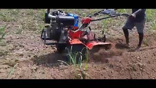 Varsha 9 hp diesel Weeder in sugarcane field