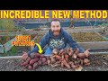 This REVOLUTIONARY Way Of Curing SWEET POTATOES Changes Everything!