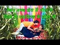 2018 Famous Bhojpuri Song || लैबुउ मकई के खेत में || Bichake Plastic Ke Bora || Bansidhar Chaudhary