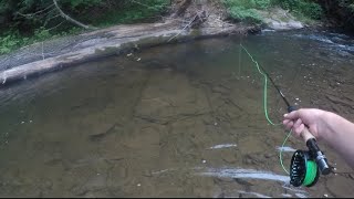 Fly Fishing ULTRA CLEAR Water For WILD BROOKIES