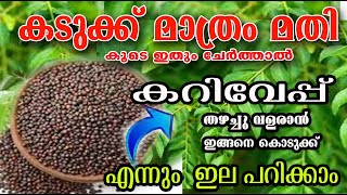 കടുക്ക് ഉണ്ടോ?? കറിവേപ്പ് തളിർത്തു ഇല നിറയും /curry leafs care /poppy happy vlogs