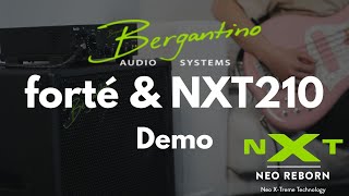 Bergantino Audio Systems Forté Amp \u0026 NXT210 Cabinet - Demo