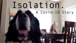 Isolation - A Dog's Perspective