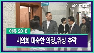 20181219 아듀 2018) 시의회 미숙한 의정..위상 추락