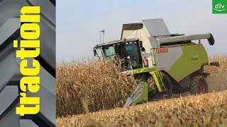 Claas Corio 675 FC in der traction Arbeitsprobe