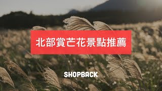 秋季限定芒草美景！台灣北部賞芒花景點推薦－ShopBack 玩台灣