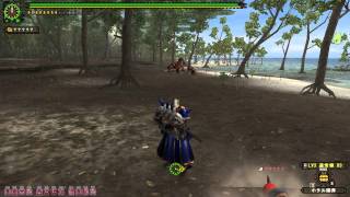 【MHF】シクレ下位ゴゴ16秒