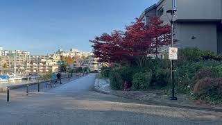 Vancouver in November ,  加拿大温哥华街头漫步 , #十一月风景 #城市街拍