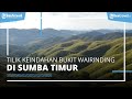 Mengenal Bukit Wairinding di Sumba Timur, Lokasi Prewedding Maudy Ayunda dan Jesse Choi