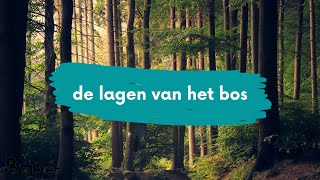 Bioleren - Lagen in het bos