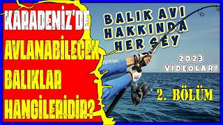 KARADENİZ'DE BALIK AVCILARININ YAKALAYABİLECEKLERİ BALIKLAR VE AVLANMA YÖNTEMLERİ NELERDİR?