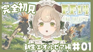 【FF14】いまからはじめるFF14🌟FF自体はじめての完全初見.ᐟ.ᐟ｜新生エオルゼア編【新人Vtuber】