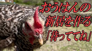 旦那ちゃん大苦戦？！岡崎おうはんの新鶏舎作りスタート！