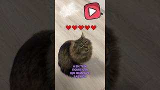 Фейсбук завжди повідомляє у кого і коли день народження 🥳⭐️🐈 #funny #catlover #cat #memes