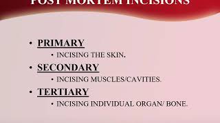 AUTOPSY PROCEDURE OF OPENING THORACIC CAVITY 3