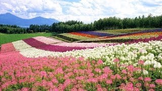 HOKKAIDO Japan Furano Ashibetsu Nature Park Documentary