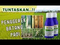 Insektisida Virtako | Sebanding dengan Harganya ??