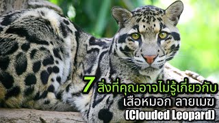 7 สิ่งที่คุณอาจไม่รู้เกี่ยวกับ | \