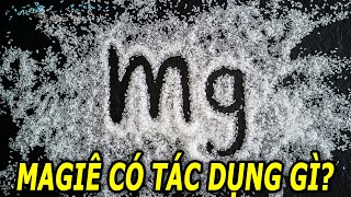 10 Tác dụng nổi bật của Magiê