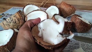 அதிக தேங்காய் இருந்தா இப்படி சேமிச்சு பாருங்க | How to store coconut | Tamil