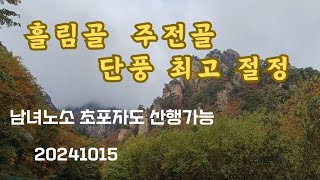 흘림골에서 주전골까지 설악산단풍 최고 절정