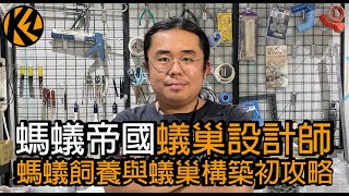 螞蟻帝國蟻巢設計師！螞蟻飼養與蟻巢構築初攻略！【KOWZ】