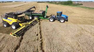 KF Winter wheat harvest 2016  Canada  MY AGRO